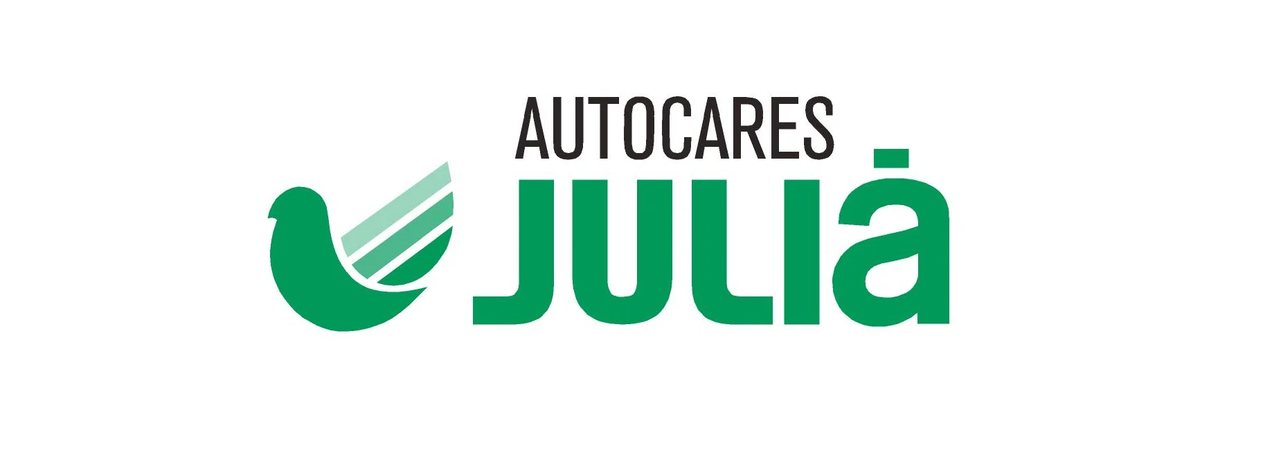 autocares-julia-lp-2.webp