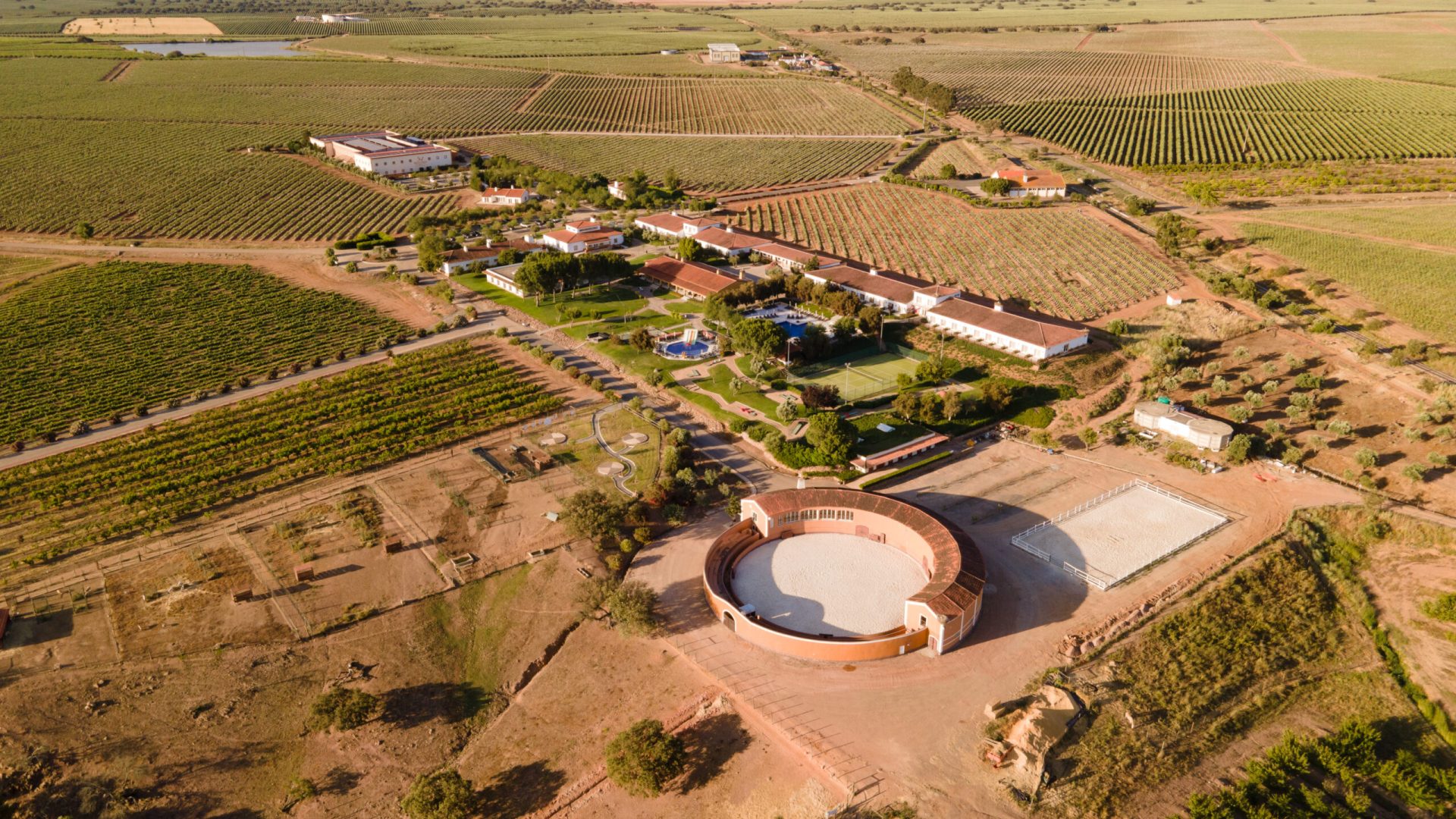 VG-Alentejo-Vineyards-Aerea (4)
